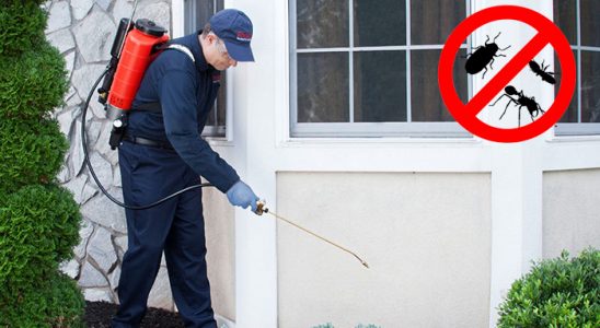 Kalkandere Akrep İlaçlama böcek ilaçlama ve haşere kontrolü — ilaclama-tr.com